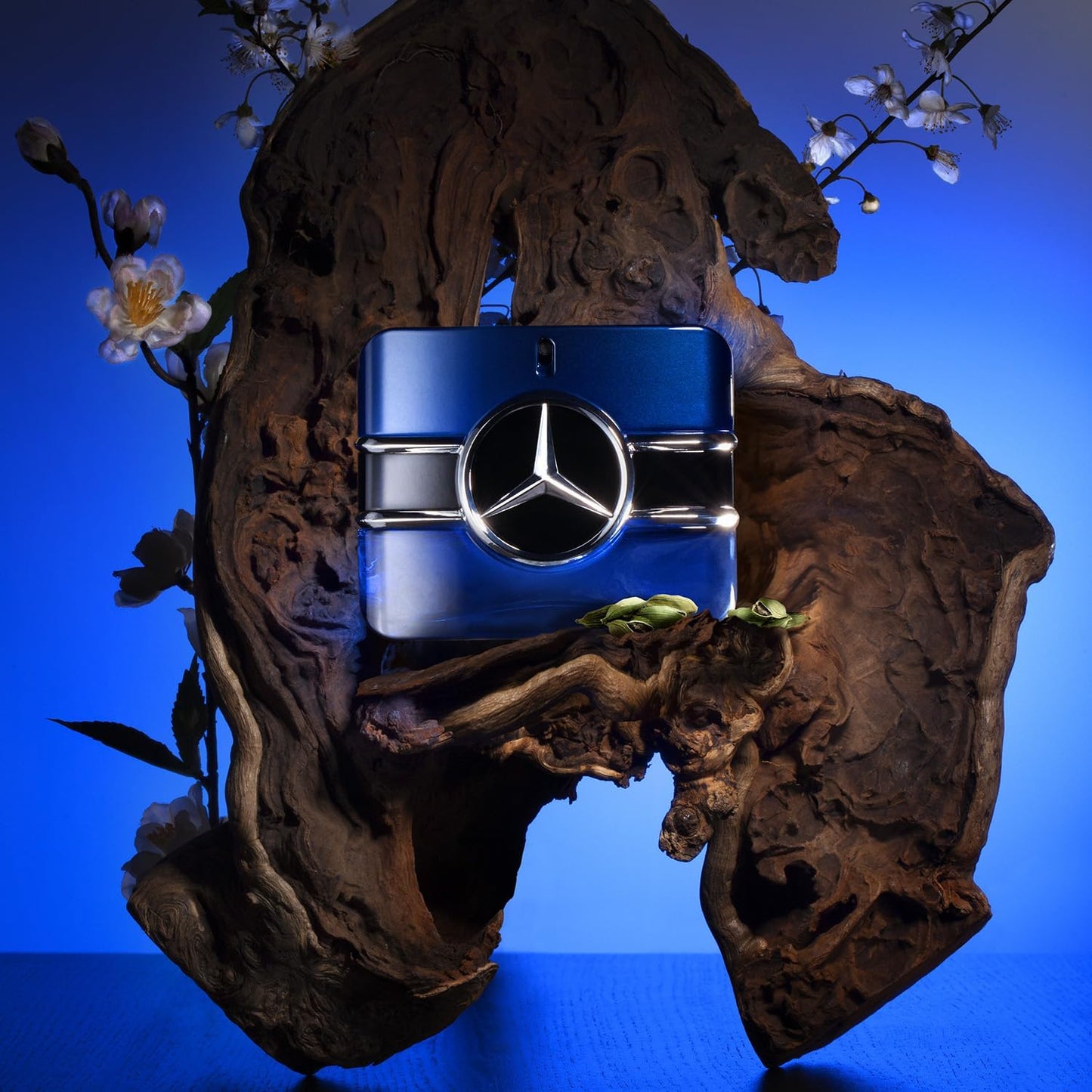 Mercedes Benz Sign EDP Perfume for Men 100ml