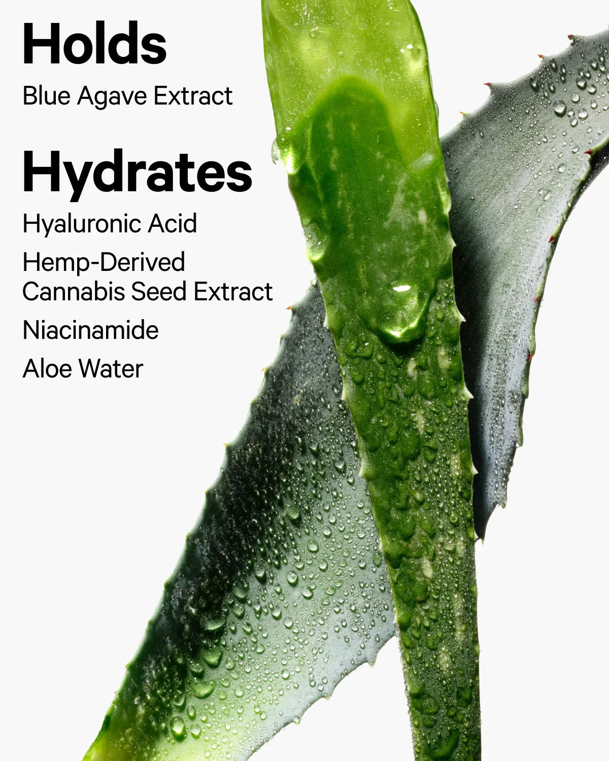 Milk Makeup Hydro Grip Hydrating face primer 50ml