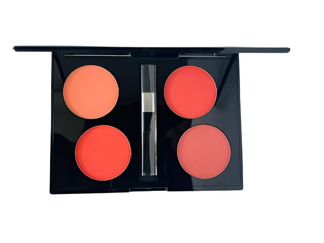 CHRISTINE Professional 4Color Blush on kit