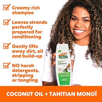 Palmer's Moisure Boost For Dry Damaged Or Color Treated Hair Shampoo 400ml