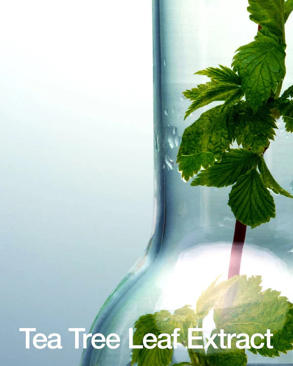 ANUA BHA 2% Gentle Exfoliating Face Toner 150ml