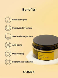COSRX Advanced Snail 92 All In One Face Cream 100g